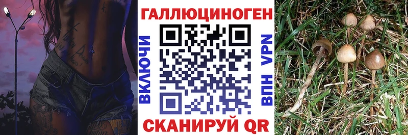 Псилоцибиновые грибы мухоморы  Купить где  Спасск-Рязанский 